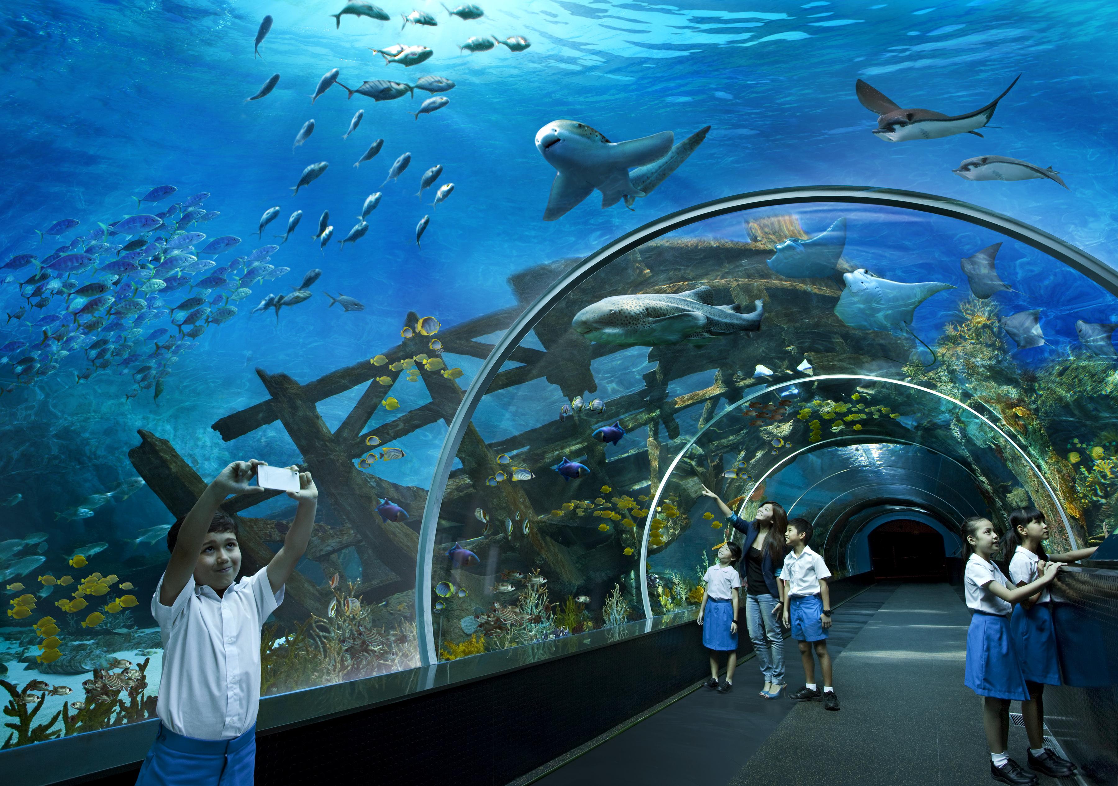 Resorts World Sentosa - Hotel Michael Singapura Exterior foto